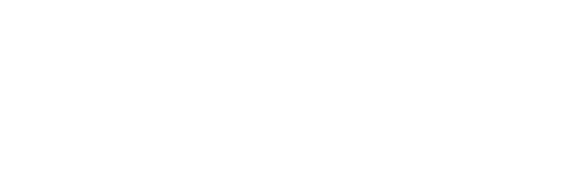 wexor_logo